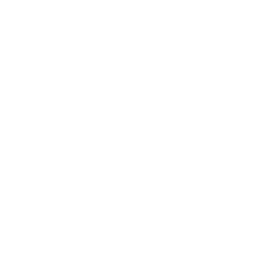 Name:		Longines Nonius Typ:			Chronograph / Handaufzug Referenz:		8225-1 / Cal.538  Zustand:		Getragen / sehr gut wie neu! Jahrgang:		ca. 1970 Komplikation:	Zeit /  Chronograph Gehäuse: 		Stahl Glas:			Mineralglas Durchmesser:	43.0 mm mit Krone Zifferblatt:		Silber Band:			Original Leder / schwarz Schliesse:		Original Stiftschliesse  Zubehör:		Ersatzband schwarz Extras:		-
